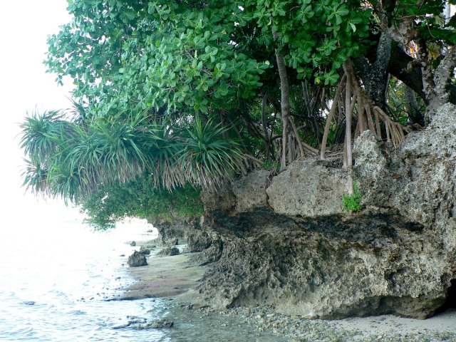 120- Maree basse, on peut faire le tour de l'ile a pieds 